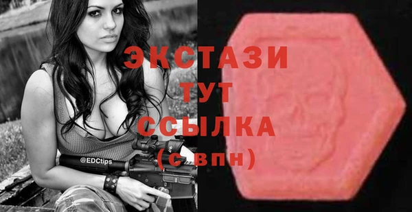 мдпв Инта