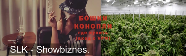 стафф Иннополис