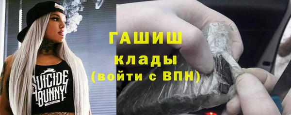 стафф Иннополис