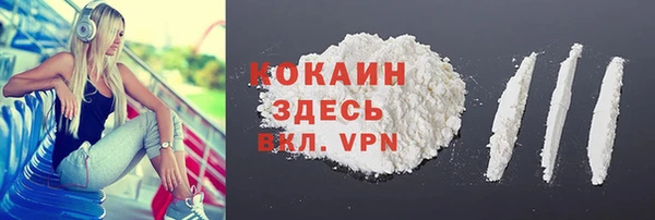 мдпв Инта