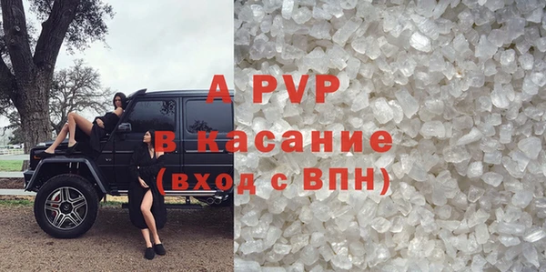 стафф Иннополис