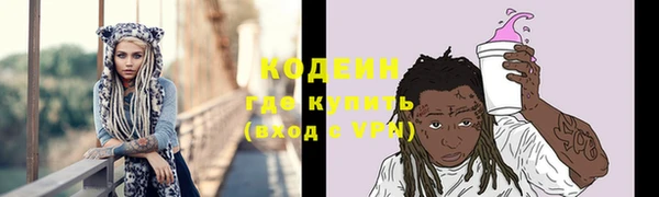 мдпв Инта
