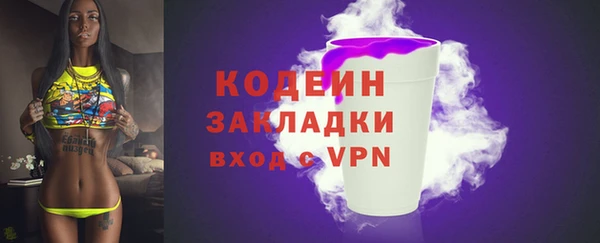 2c-b Инсар