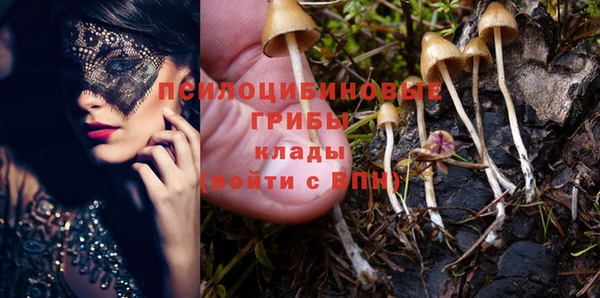 мдпв Инта