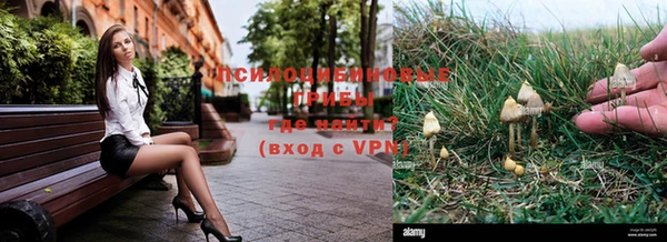 MDMA Premium VHQ Зеленокумск