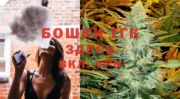 2c-b Инсар