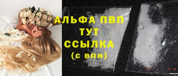 2c-b Инсар