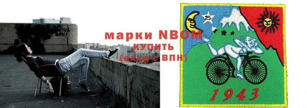 2c-b Инсар