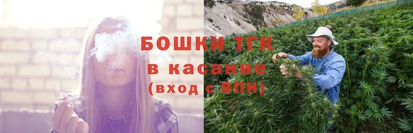 стафф Иннополис